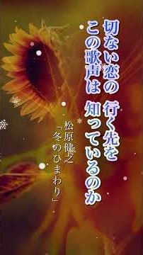🌻切ない恋の行く先を… #松原健之「冬のひまわり」#五木寛之 #弦哲也 #歌謡曲 #平成歌謡 #演歌男子 #カラオケ #ヒット曲