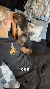 92K views · 1.8K reactions | Not one mean comment! | JoJo Siwa | Facebook