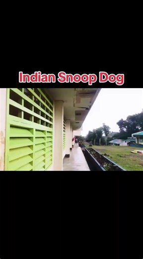 Via's bodega (@venylabs)’s videos with original sound - Vindaloo Singh