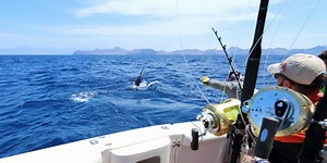 Angelschein für Kroatien 2025: Lizenz zum Angeln im Meer - Lust-auf-kroatien.de