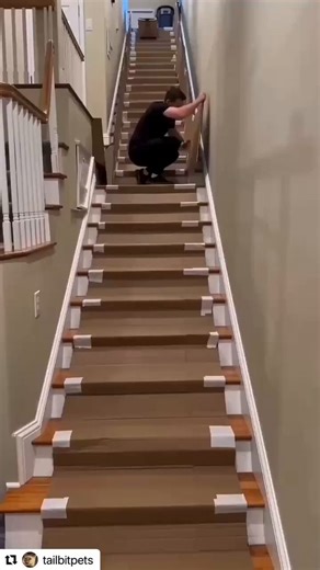 Posts Of Kittens🐾 (@postsofkittens) on X