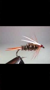 How to “match the hatch” in fly fishing