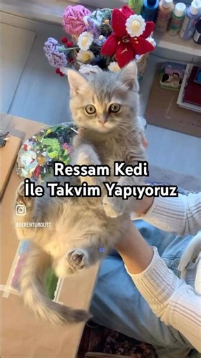 I'm making my own desk calendar for July🌸🫶🏻 #diycalendar #acrylicpaintingtutorial #catvideos