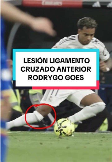 ¿Rodrygo se perderá el Mundial? Impacto de su lesión