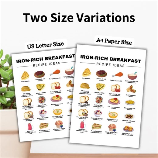 High Iron Foods, Iron Rich Food List for Anemia or Iron Deficiency, Iron Rich Meal Planning and Recipes, Iron Rich Foods Nutrition Guide - Etsy UK
