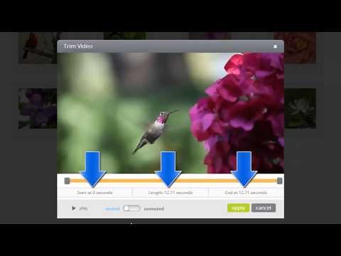 Add and Edit Video Clips in your ProShow Web Slideshows