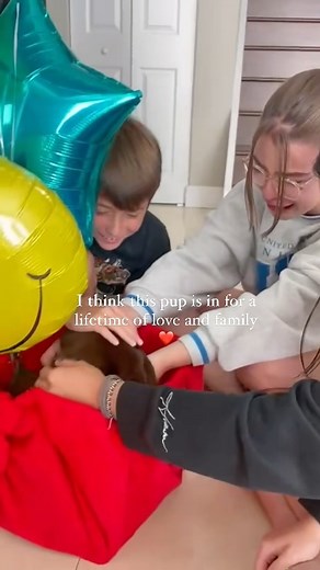 Let this sweet video be a wonderful start to your Friday, everyone! This is one of our @happiestlabrador clients and their family. They shared this video with us, and it made our day❤️ when our Labrador puppies make moments and memories like these, it makes all the work that comes with the job SO worth it, and so much more exciting. This chocolate chip is in for a life of adventure and excitement and love with his new family, don’t you think?? ❤️ #chocolatelab #englishlabrador #labpuppylove #lab