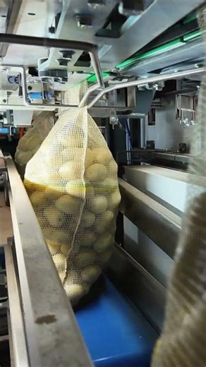 Potato packaging line in Brasil