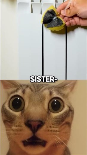 Dantes Triggered Their Safe Word 😭💀 #dantes #ometv #omegle