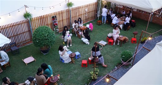 Độc lạ quán cà phê có 30 con chó "chạy bàn" ở Cần Thơ