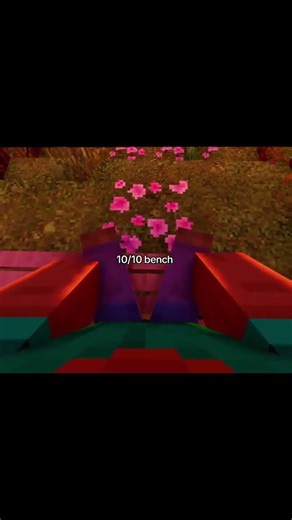 minecraft beauty ❤️‍🩹