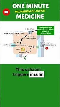 How This Diabetes Drug Causes Insulin Release — Step by Step 💉🩸💊