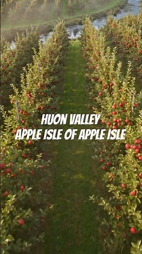 From Apples to Aurora…This Valley Has Everything | Tasmania Has Its Own “Apple Isle” Inside It 😳