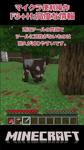 [Minecraft] Java Edition Useful Controls Introduction ④ 'F3+H' #Minecraft #minecraftshorts #java