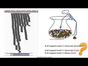 Week 8.1.1 Transcriptome - An Overview (Next Generation Sequencing Transcriptome Analysis and RNA)