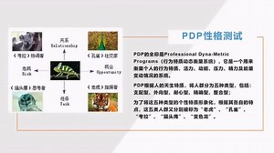 DISC：DISC性格测试及解析_腾讯视频