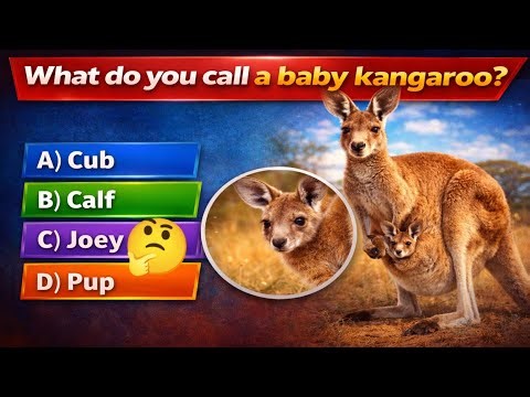 General knowledge Trivia Quiz |Multiple Choice Quiz|Multiple Choice Trivia||