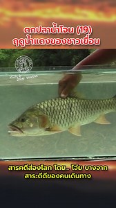 921K views · 27K reactions | ตกปลาน้ำโจน (19) ฤดูน้ำแดงของชาวเขื่อน...