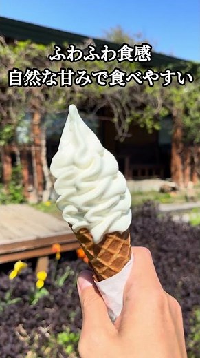 【長沼スイーツ】自然の中で食べるワッフルとソフトクリームが最高だった｜ましゅれ長沼店 #北海道グルメ #shorts