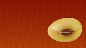 85K views · 271 reactions | Are you planning to fertilize your...