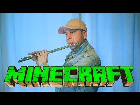 Minecraft Theme Song on Flute 🗿