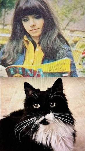 Master Gable Presents Shocking Blue's "Just A Song" =^.,.^= ❤️#cat #shockingblue #love #70s #music