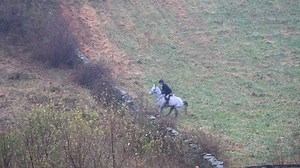 7.9K views · 246 reactions | Middleburg Hunt after the parade. © 2018 Middleburg Photo LLC | Middleburg Photo | Facebook