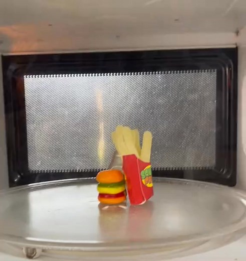 Microwave VS Menu 磻what's next#burger #french #experiment #fries #cocacola #microwave | Chiradet Thaibangouy | Facebook