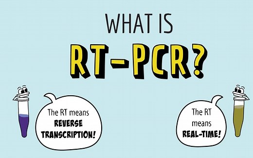 【分子生物】What is RT-PCR (Real-Time PCR & Reverse Transcription PCR)