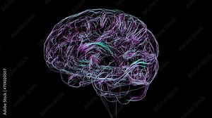 3D animation image showing the anatomical structure of the human brain rotating through 360 degrees.