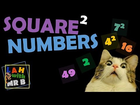 What are Square Numbers?