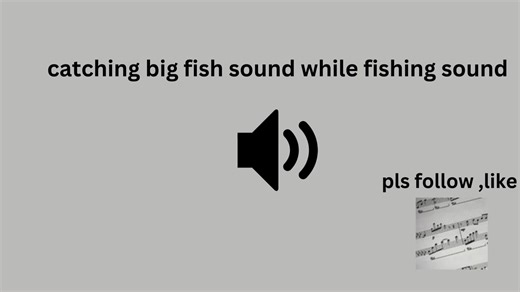 Catching Big Fish Sound Effects for Fishing