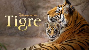 Tiger Movie (2024) | Release Date, Cast, Trailer, Songs, Streaming Online at Hotstar