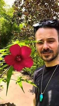 Adventure at the state botanical Gardens in Athens Georgia