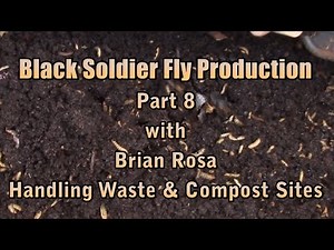 Black Soldier Fly Production Part 8 with Brian Rosa, Handling Waste & Compost Sites