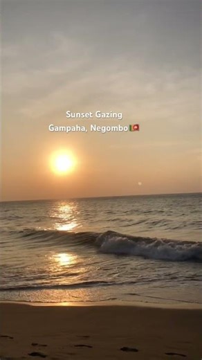 Sunset Gazing at Gampaha, Negombo #beautiful #nature #scenery #travel #copyrightfreenaturalvideo