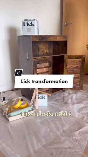 DIY Hidden Litter Cabinet for Cats | Lick Transformation