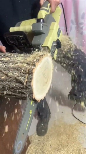 Cutting a Massive Dry Log with Cutter Machine 😮🌲