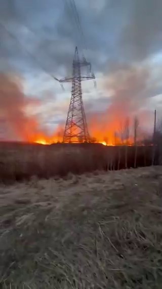 Leningrad region, Russia ❗ 🔥So-called dry grass caught fire in the Gatchina district near a power line support and a highway. According to eyewitnesses, the fire occurred near the Torfopredpriyat settlement. The cause of the fire is currently unknown.