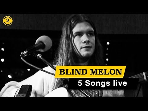 BLIND MELON - Live in 1993 | NO RAIN, ST. ANDREW'S FALL, PAPER SCRATCHER on 2 Meter Sessions