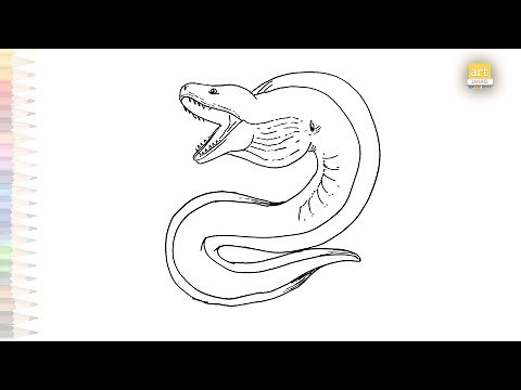 Moray eel drawings video | Eel drawings | How to draw Moray eel step by step