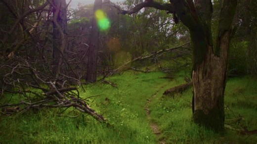 Capturing the Outside Vibe with Panchiko