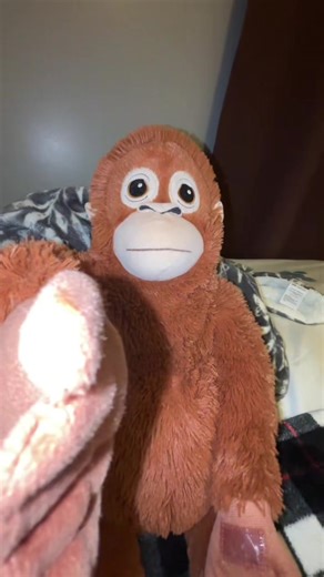 the beef has started #monkey #ikeamonkey #funny #67 #winner | monkey videos