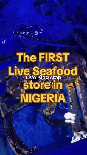 Live King Crab Now Available in Lagos!