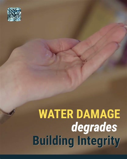 By the Time You See It… It’s Already Expensive