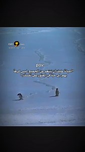 "The “Nihilist Penguin” refers to a famous scene from Werner Herzog’s documentary Encounters at the End of the World, featuring a disoriented penguin that abandons its colony and heads inland towards the mountains, away from food and safety, seemingly without purpose, leading Herzog to muse on its existential crisis and its potentially fatal, non-conformist path. The term, while catchy, sparks debate, with some seeing pure nihilism and others interpreting it as an act of existential rebellion or