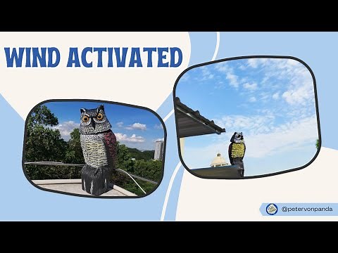 This Fake Owl Scares Away Birds With A Swiveling Head