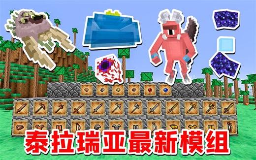 我的世界 泰拉瑞亚 最新模组