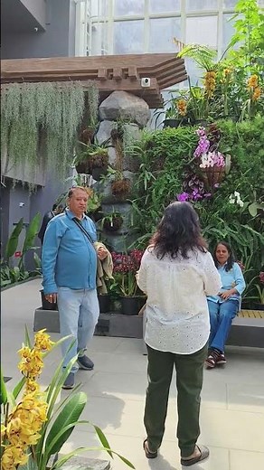 Amazing view of Orchids and Plants