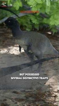 Zephyrosaurus in 60 seconds | DinoLexicon #dinosaur